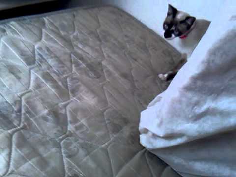 Cris Marie e filhos ♥