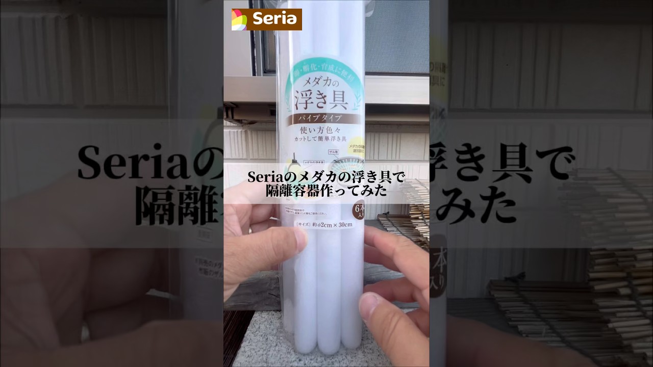 僕はメダカ飼育が趣味のただの40代のおじさん