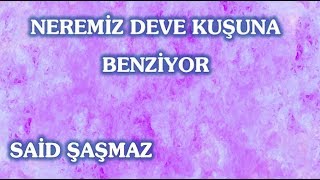 Said Şaşmaz - Neremiz Deve Kuşuna Benziyor
