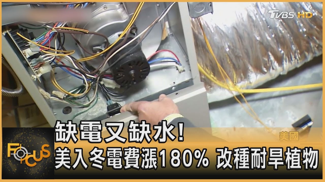 缺電又缺水！美入冬電費漲180% 改種耐旱植物
