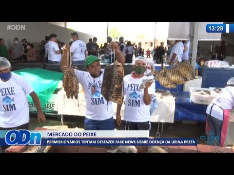 PermissionaÌrios do Mercado do Peixe desfazem fake news sobre doença da urina preta 24 09 2021