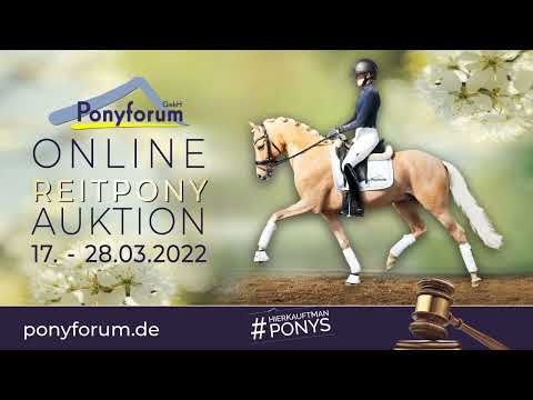 DENVER Wallach 2017 v. Dating AT NRW / Leon