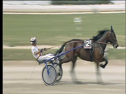 Trotto 29/04/2018 - 2ª corsa