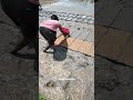 Paddy Transplanter Machine Full Video Link In Comment Box