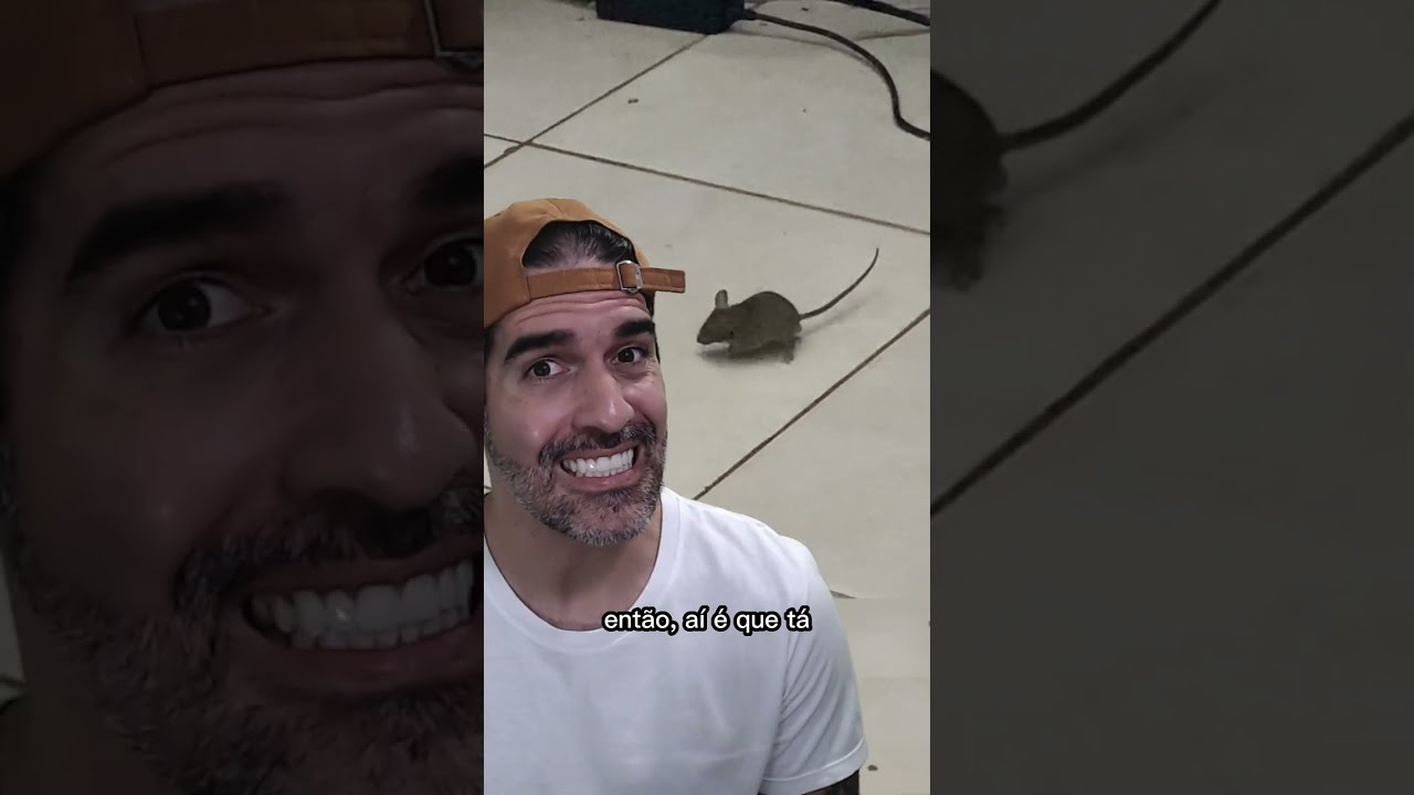 Como age o VENENO DE RATO | Pidobiologia