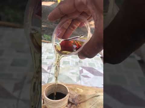 Carbon Removal Experiment 01