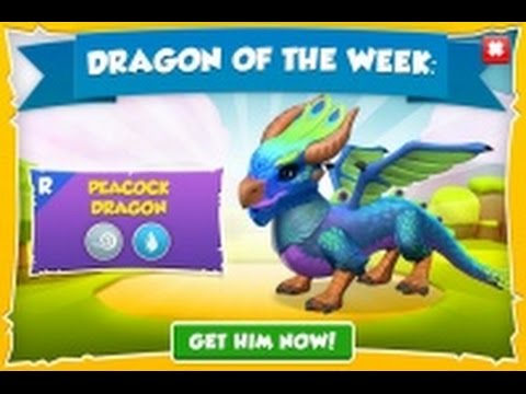 How to breed peacock dragon   Dragon Mania Legends #15