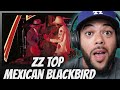 A DIFFERENT VIBE!| FIRST TIME HEARING ZZ Top -  Mexican Blackbird REACTION