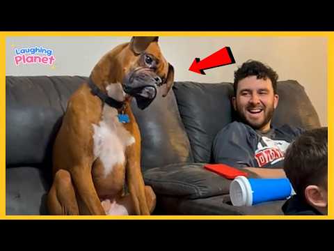 🐶🤯When God Sends You a Comedian Dog 😅 Funniest Dog Videos of All Time!