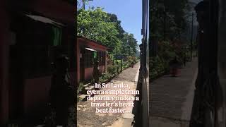 In Sri Lanka, even train rides feel like an adventure #travel #shorts