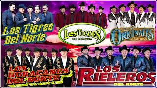 Los Tigres Del Norte, Los Tucanes De Tijuana, Los Huracanes Del Norte, Los Originales De San Juan...