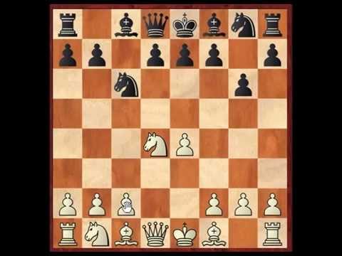 143 Classical Dragon