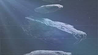 Plasmatique- Levitate (Official Video) | #melodictechno