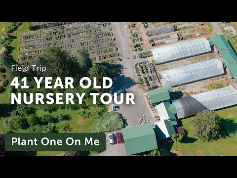 Tour a 41-YEAR OLD PLANT NURSERY — Ep. 236