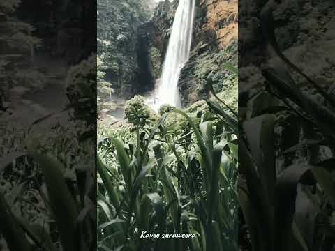 Welcome 🙏🏻 Zakee feel the nature #lifeisbutadream #love #musicgenre ❤️❤️🧭💦👍