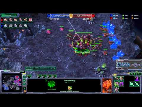 GosWser (Z) vs Strelok (T) - G3 - StarCraft 2 - HOTS116