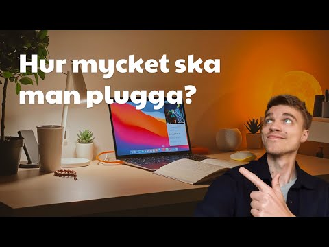 Så mycket ska du plugga per dag! (Universitet)
