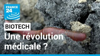 France : un ver marin testé pour les greffes humaines • FRANCE 24