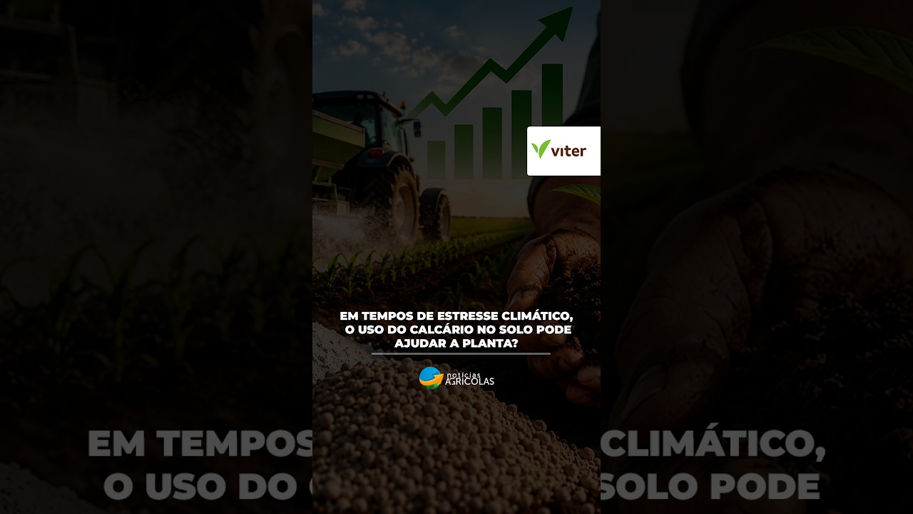Projeções indicam que o Brasil deve ultrapassar 46 milhões de toneladas de fertilizantes consumidos