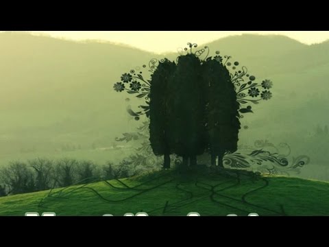 Solips - Northern Grooves