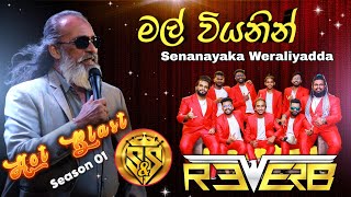 Mal wiyanin  Senanayaka weraliyadda with Reverb Ba