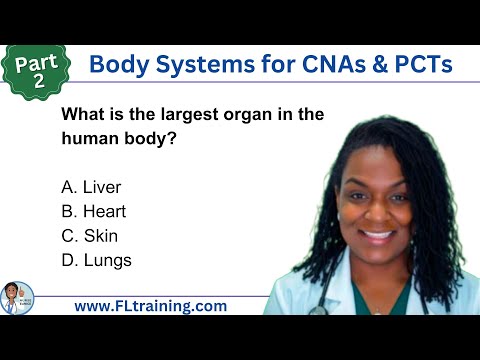 📚 Body Systems for CNAs & PCTs – Part 2: The Integumentary System