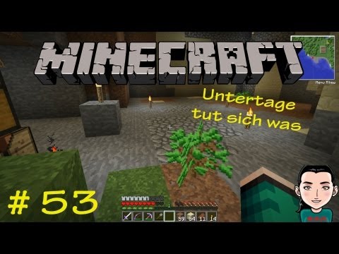 Minecraft [HD] Let's Play ✦ #53 - Platz fürs Projekt Hühnerhof ✦