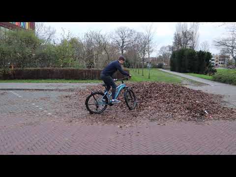 Cannondale Tesoro Neo X2