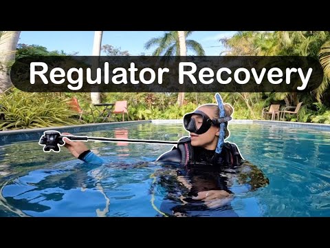 How to Recover a Regulator - Sweep and Reach Method // PADI Open Water Diver, Confined Water #1