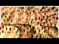 Joe Turner - Whistle Stop Blues (1)