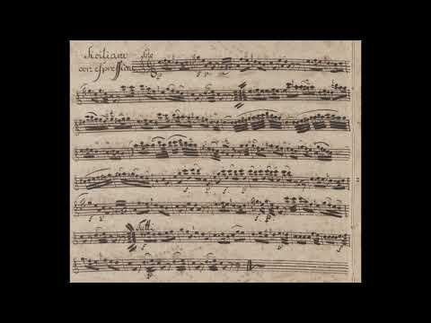 Carl Stamitz (1745 - 1801) - Clarinet Concerto No. 5