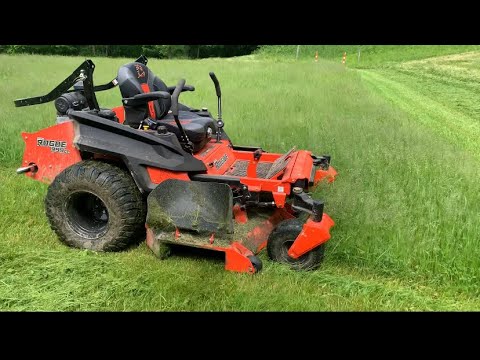 2022 bad boy rogue review