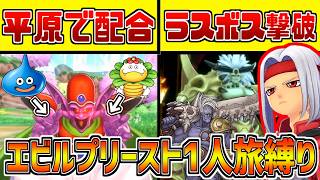 エビルプリースト1人でストーリークリアしてみた【ドラクエモンスターズ３】