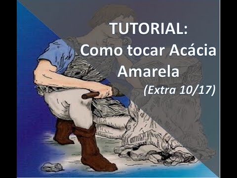 Acácia Amarela - Paulinho Natureza
