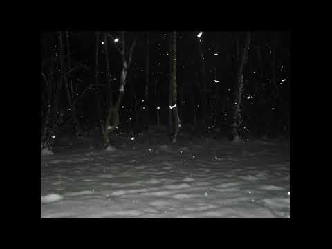 OBLADAET x Ghosty x Redda x Alien x Supertrap - "Nightf0rest"