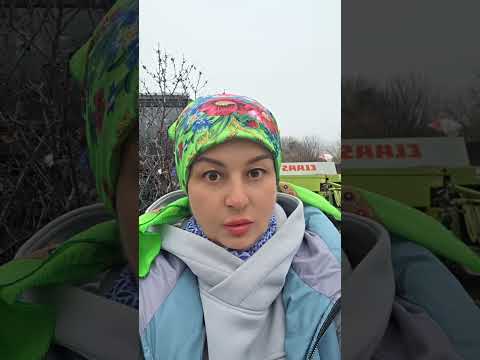 не поняла доярка. #шортс #юмор #приколы #подпишись #рекомендации #жизнь #смех #доярка #україна #топ