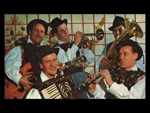 Kvintet Avsenik - Nach der Treibjagd (Po Brakadi) (Live)