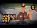 Why Cardboard Cops Work (Even If You Know They’re Fake)