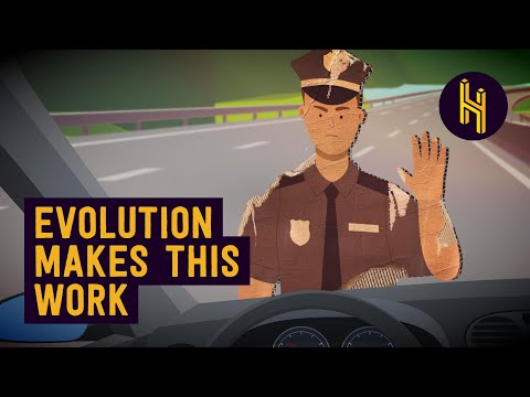 Why Cardboard Cops Work (Even If You Know They’re Fake)