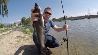 How to catch catfish in a pond - Bank fishing for catfish in a city pond