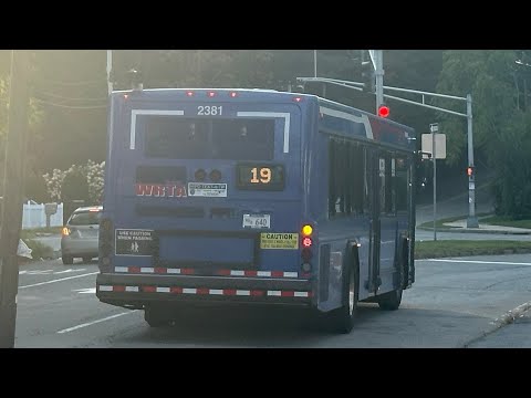 Wrta 23