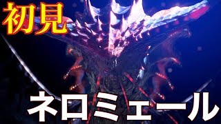 【MHWI】ネロミェール初見 太刀 ソロ 【モンスターハンターワールド アイスボーン 】