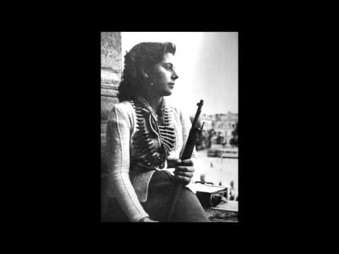 Schmetterlinge - Drei rote Pfiffe