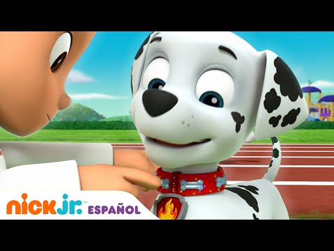 PAW Patrol, Patrulla de cachorros | ¡Marshall gana la carrera! | Nick Jr.