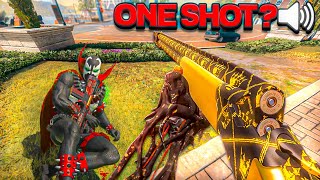 Making Squads RAGE with the *ONE SHOT* LOCKWOOD 300 "725" Shotgun 😂