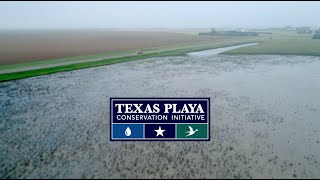 Texas Playa Conservation Initiative