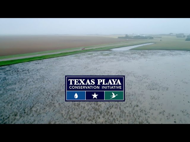 Texas Playa Conservation Initiative
