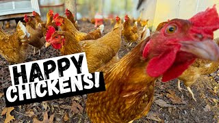 Winter Chicken Coop Clean Out!
