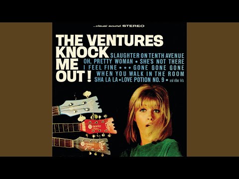 Bird Rockers - The Ventures