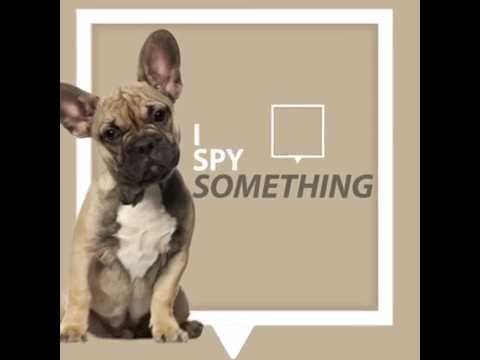 Color Inspiration for Spring - Sherwin-Williams